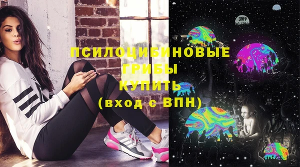МДПВ Инта